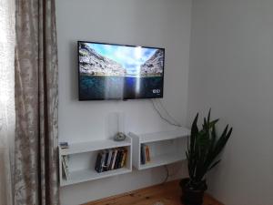 TV a/nebo společenská místnost v ubytování Aleksandar apartmani