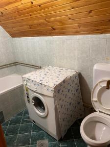 een badkamer met een wasmachine naast een toilet bij Ski kuća Boki in Jahorina