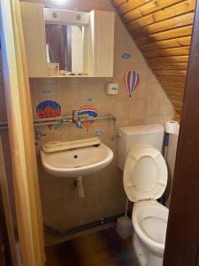 een kleine badkamer met toilet en wastafel bij Ski kuća Boki in Jahorina