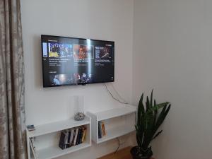 TV a/nebo společenská místnost v ubytování Aleksandar apartmani