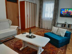 TV a/nebo společenská místnost v ubytování Aleksandar apartmani