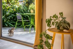 a cat standing in front of a sliding glass door at Olive Lemon Biophilic House & Lush Forest Garden in Vamos