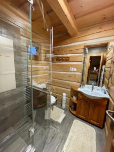 a bathroom with a shower and a sink and a toilet at Nasa Chata in Levoča