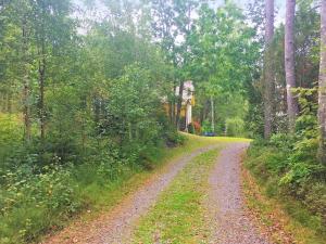 a dirt road in the middle of a forest at 4 person holiday home in R RVIK in Rörvik