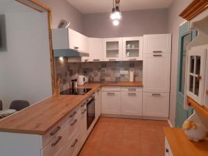 Kuchyň nebo kuchyňský kout v ubytování SočaLand Apartmaji