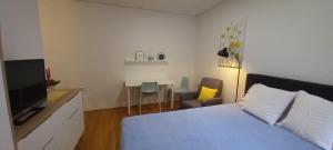 Televízia a/alebo spoločenská miestnosť v ubytovaní Apartment Zsa Zsa Zenta 1