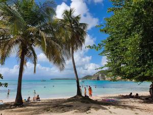 a group of people on a beach with palm trees at Blue Paradise in Le Gosier