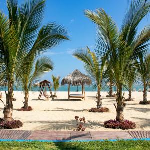 a sandy beach with palm trees and a swing at Nauti-k Beach Hotel in Tumbes