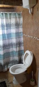 a bathroom with a toilet and a shower curtain at Supernova - Gualeguay in Gualeguay