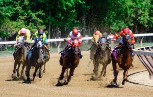 a group of horses racing on a dirt track at Bluebird Spa City Motor Lodge in Saratoga Springs