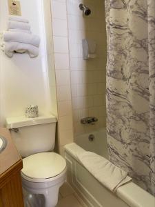 een badkamer met een wit toilet en een douche bij Stork Nest Inn in Smithers +11 foto's