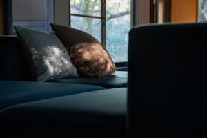 a couch with two pillows on it with a window at Kyousen in Iida