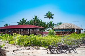 two buildings on the beach with palm trees in the background at Paraíso dos Ventos in Atins