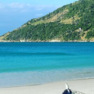 a bird sitting on a beach next to the ocean at Casa com 2 quartos na Prainha em Arraial do Cabo, 20 METROS DA PRAIA in Arraial do Cabo