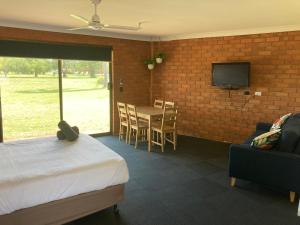 una camera con letto, tavolo e TV di Berrigan Motel a Berrigan