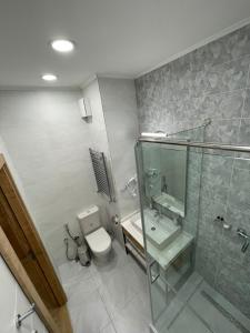 a bathroom with a shower and a toilet and a sink at Olympic Hotel in Türkistan
