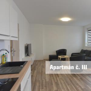 Kuchyň nebo kuchyňský kout v ubytování Apartmány U koupaliště