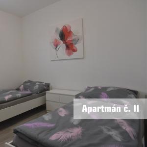 Gallery image of Apartmány U koupaliště in Znojmo