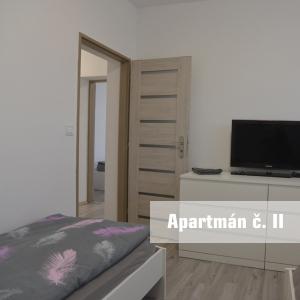 TV a/nebo společenská místnost v ubytování Apartmány U koupaliště