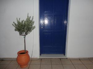 Fotografia z galérie ubytovania Pavlos Rooms v destinácii Livadia
