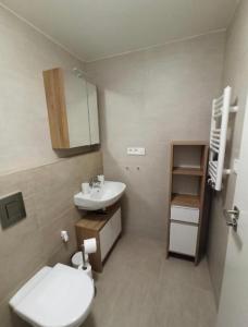 een badkamer met een wit toilet en een wastafel bij Lipno Port Apartment A103 in Lipno nad Vltavou