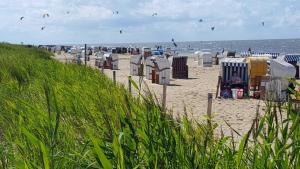 Příroda nedaleko apartmánu + 11 fotografií