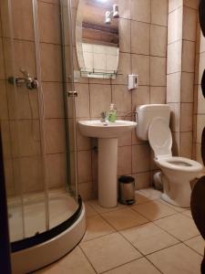 a bathroom with a shower and a sink and a toilet at Papa la Șoni Gastro-Pensiune in Borsec