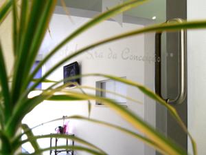 una planta frente a un espejo en una habitación en Hotel Sra da Conceicao, en Praia de Mira