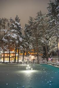 Foto dalla galleria di Hotel Palisad a Zlatibor