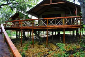 Zahrada ubytování Lion Tree Top Lodge