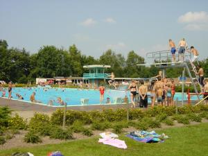 Πισίνα στο ή κοντά στο Vakantiepark Bosmeer Friesland