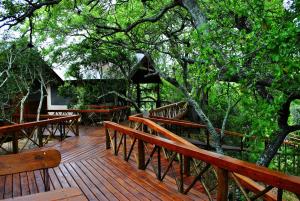 Zahrada ubytování Lion Tree Top Lodge