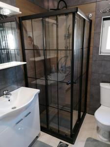a bathroom with a shower with a sink and a toilet at Apartman Dukat in Višegrad