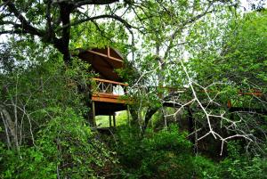 Zahrada ubytování Lion Tree Top Lodge