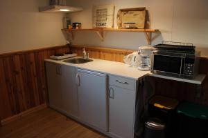 una pequeña cocina con fregadero y microondas en Swedish Adventure en Brograngen