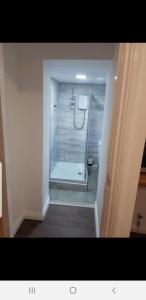 a bathroom with a walk in shower in a room at Apartment with Roof Terrace close to City Centre in Cardiff