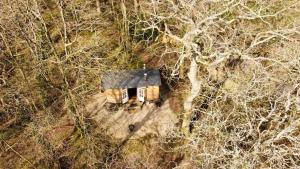 an aerial view of a house in the middle of a forest at Bluebell shepherds Hut in Rolvenden