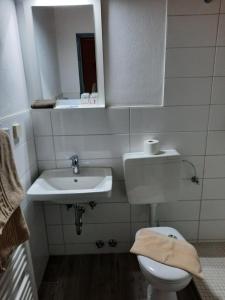Koupelna v ubytování Landgasthof Rotlipp Gästezimmer + 37 fotografií
