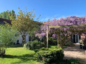 un jardin avec une pergola et des arbres violets dans l'établissement Ferme rénovée 300M2 La Casa JEB : Charme, Calme et Nature, à Moncheaux