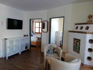 TV a/nebo společenská místnost v ubytování Apartments Susanne und Jasmin - Haus Sonnleitn