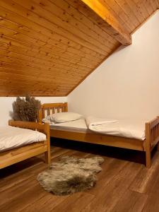 Gallery image of WoodenHouse with two Apartments in Otočac