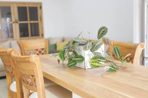 a wooden table with plants on top of it at נווה חרמון in Majdal Shams