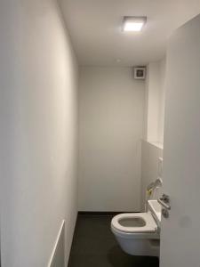 ein weißes Bad mit einem WC und einem Waschbecken in der Unterkunft Ferienhaus Ritter in Hard