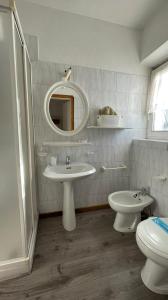 a bathroom with a sink and a toilet and a mirror at Hotel Ristorante Genzianella in Madonna di Campiglio