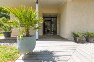 a plant in a large pot in front of a building at La Villa 103 in Lombez