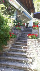 Zahrada ubytování B&B Am Sahrbach