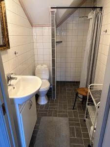 Un baño de Chinova Mötesgård i Järvsö