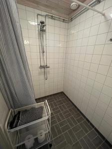 Un baño de Chinova Mötesgård i Järvsö