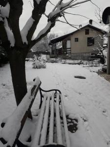 una panchina coperta di neve accanto a un albero di Jovanovic a Topola