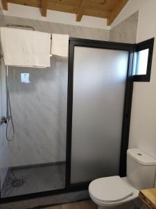 a bathroom with a toilet and a glass shower door at Ponta do Sol Private Apartment Sea View in Ponta do Sol +7 photos